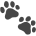 Paws